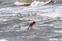 Thumbs/tn_Kite Board Open 2016 zaterdag 038.jpg